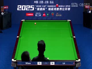斯诺克玉山世界公开赛64进32 雷佩凡1-5凯伦·威尔逊  20250224封面图
