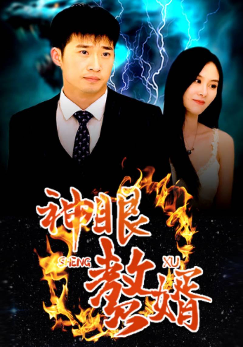 神眼赘婿封面图