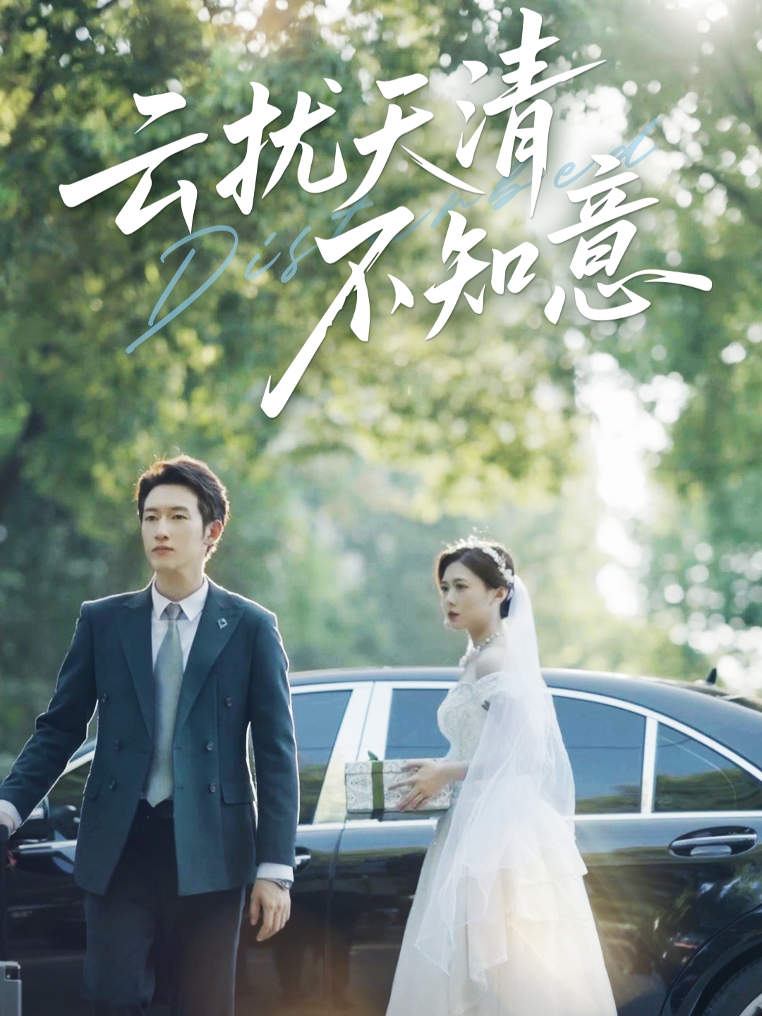 云扰天清不知意封面图