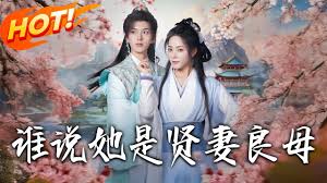 谁说她是贤妻良母封面图