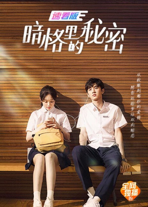 暗格里的秘密速看版封面图