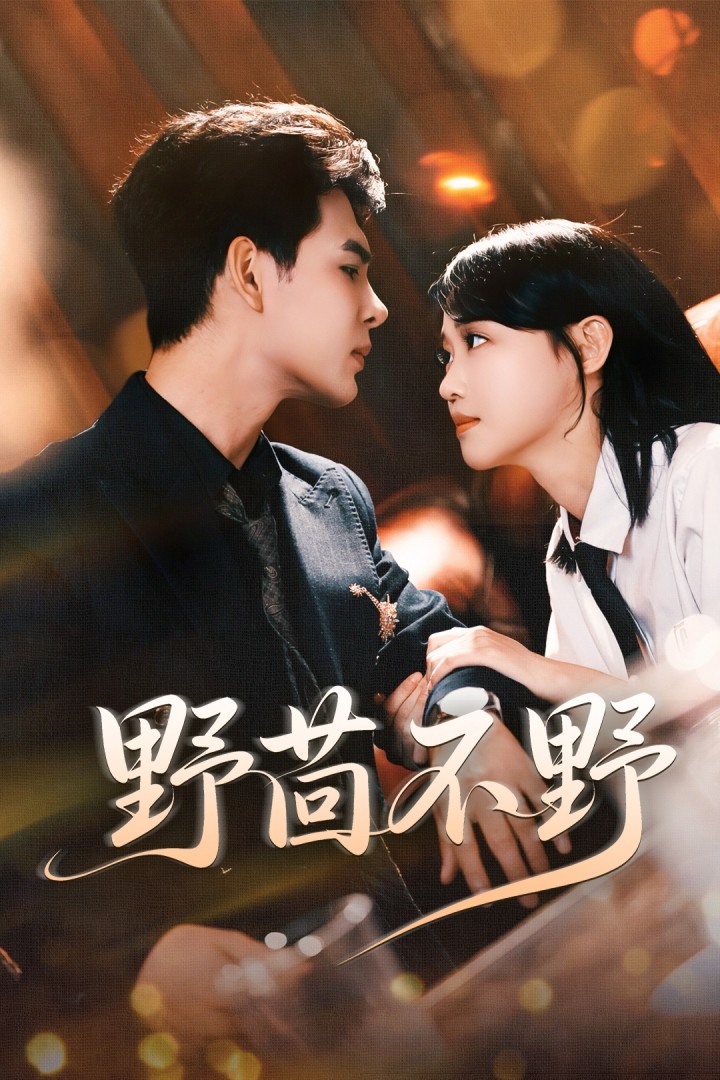 野茴不野封面图