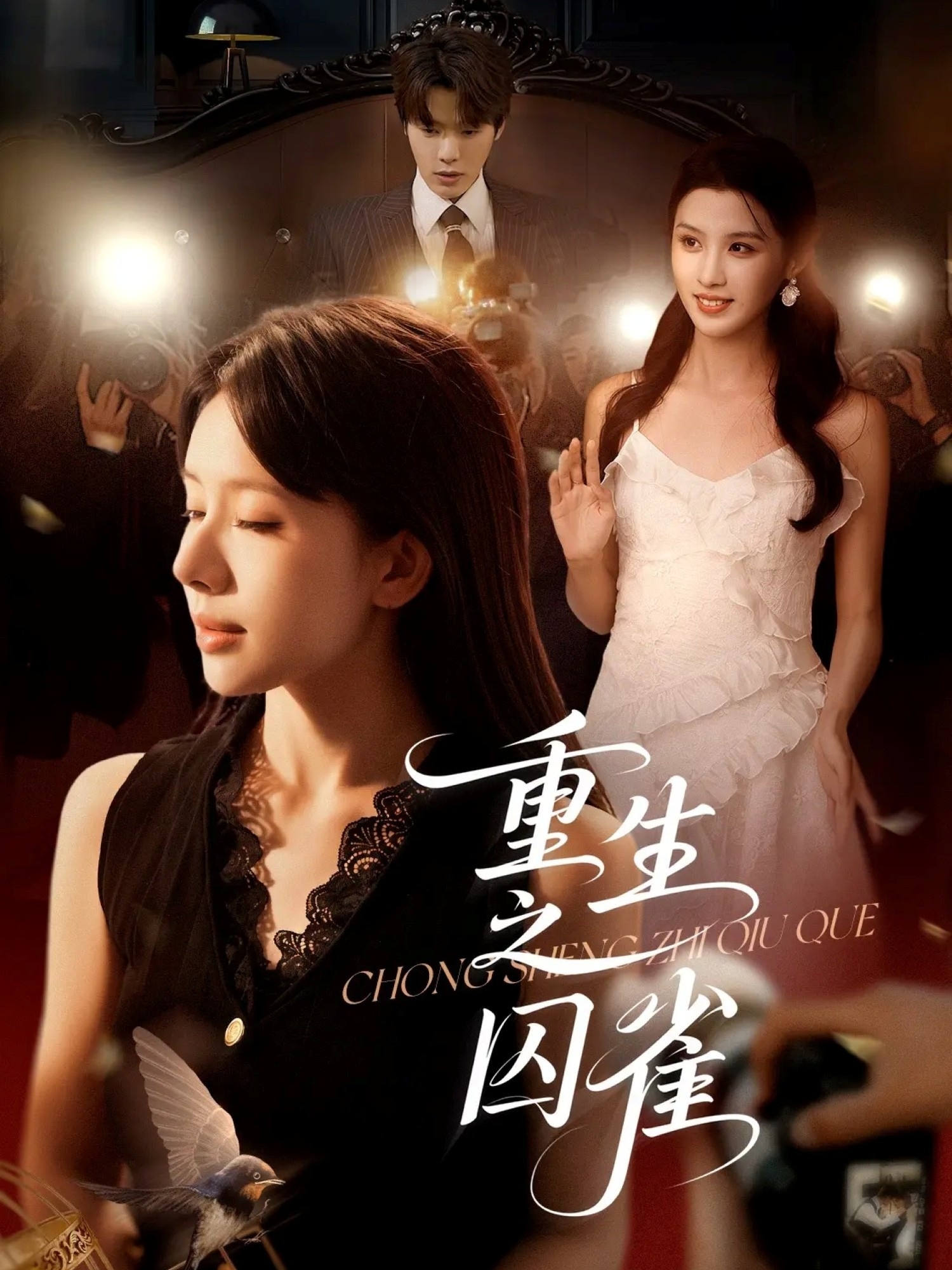 重生之囚雀封面图