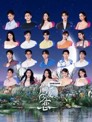 偏爱之恋封面图