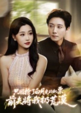 只因抢了白月光的机票，前夫将我扔荒漠封面图