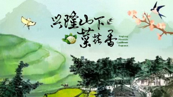 兴隆山下菜花香封面图
