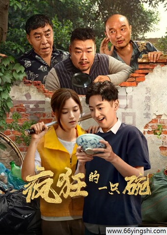 疯狂的一只碗封面图