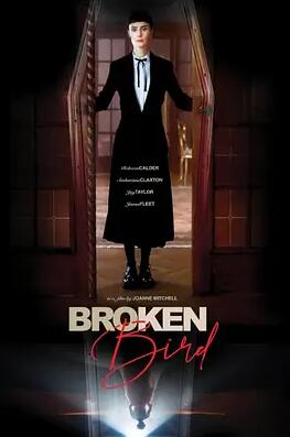 折翼鸟2024封面图