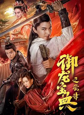 御龙宝典之瓷律封面图