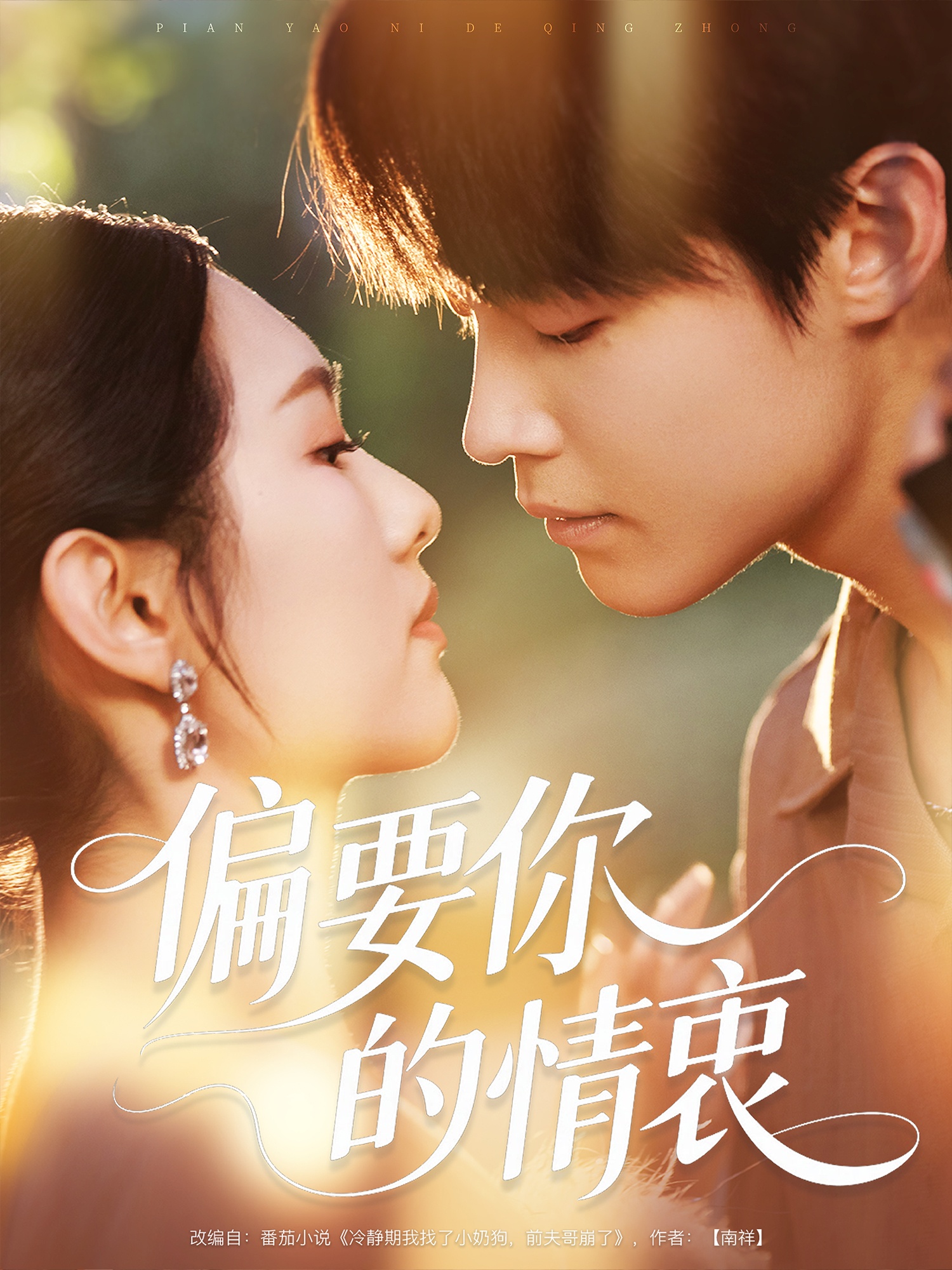 .偏要你的情衷封面图