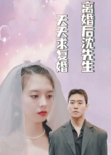 离婚后沈先生天天求复婚封面图