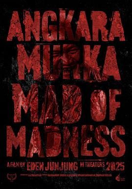 疯狂至极封面图