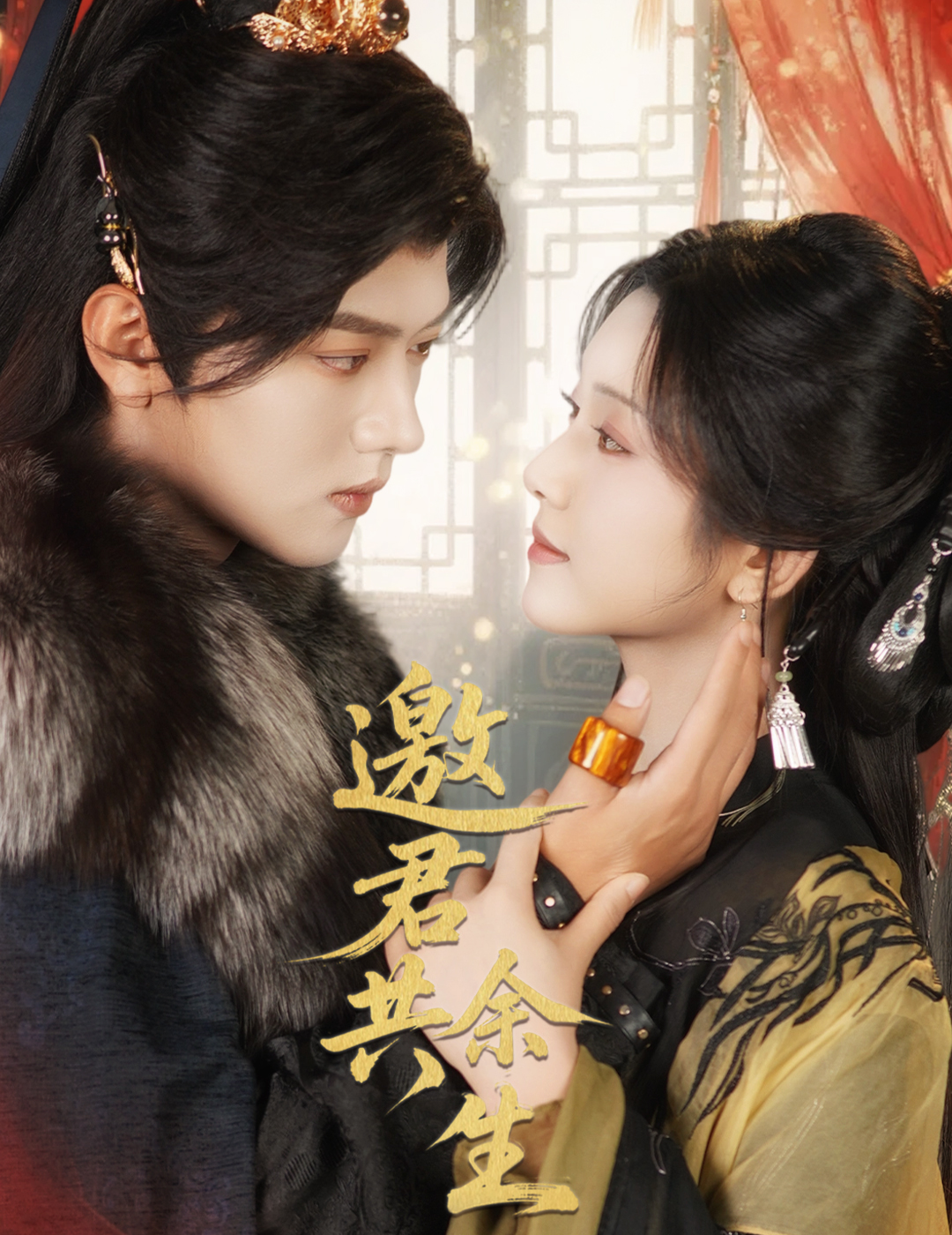 邀君共余生封面图