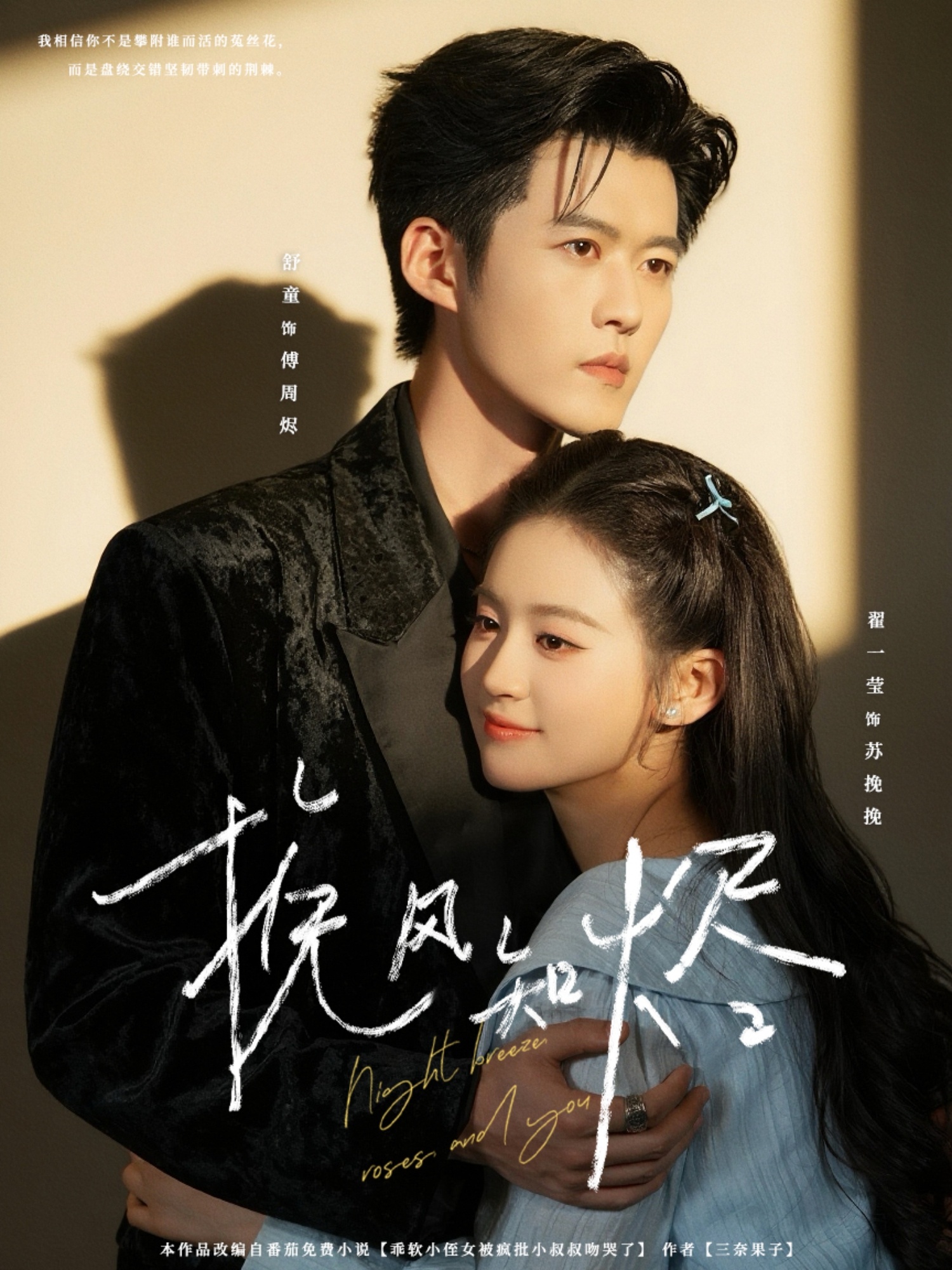 挽风知烬封面图