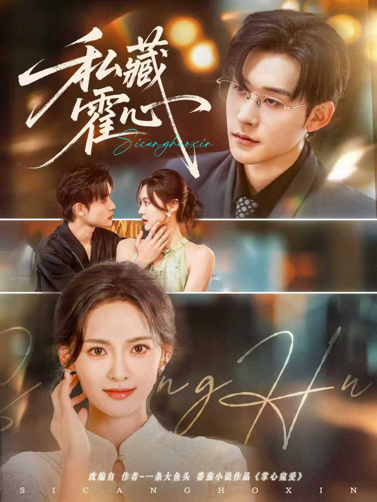 私藏霍心封面图