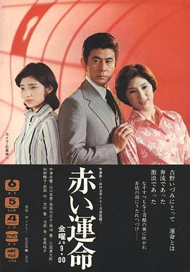 赤色命运封面图