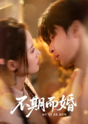 不期而婚封面图