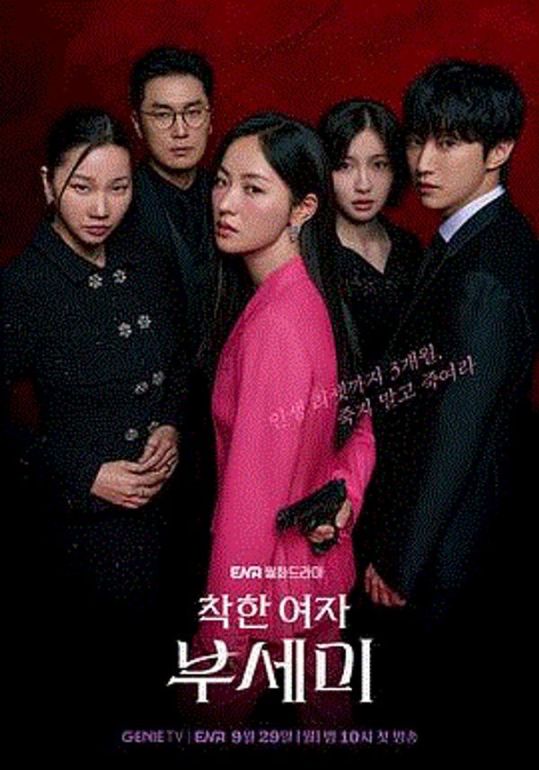 善良的女人夫世美封面图