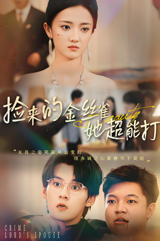 捡来的金丝雀她超能打（和小娇夫领证后夫人她不装了）封面图