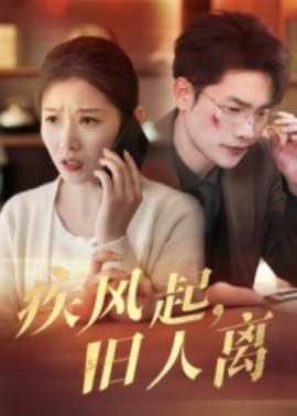 疾风起旧人离短剧封面图