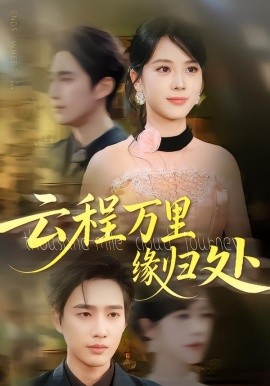 云程万里缘归处封面图