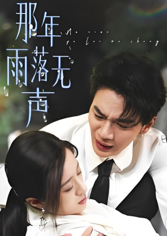 那年雨落无声封面图