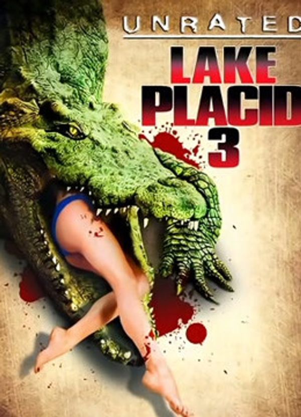 平静的湖3封面图