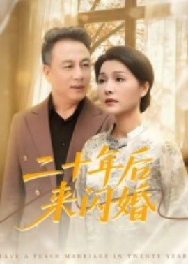 二十年后来闪婚封面图