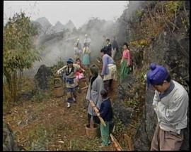 鱼公主红鲤公主封面图