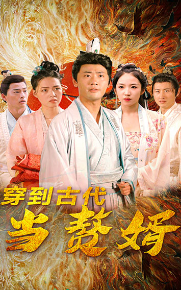 穿到古代当赘婿封面图