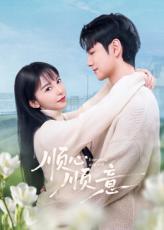 顺心顺意封面图