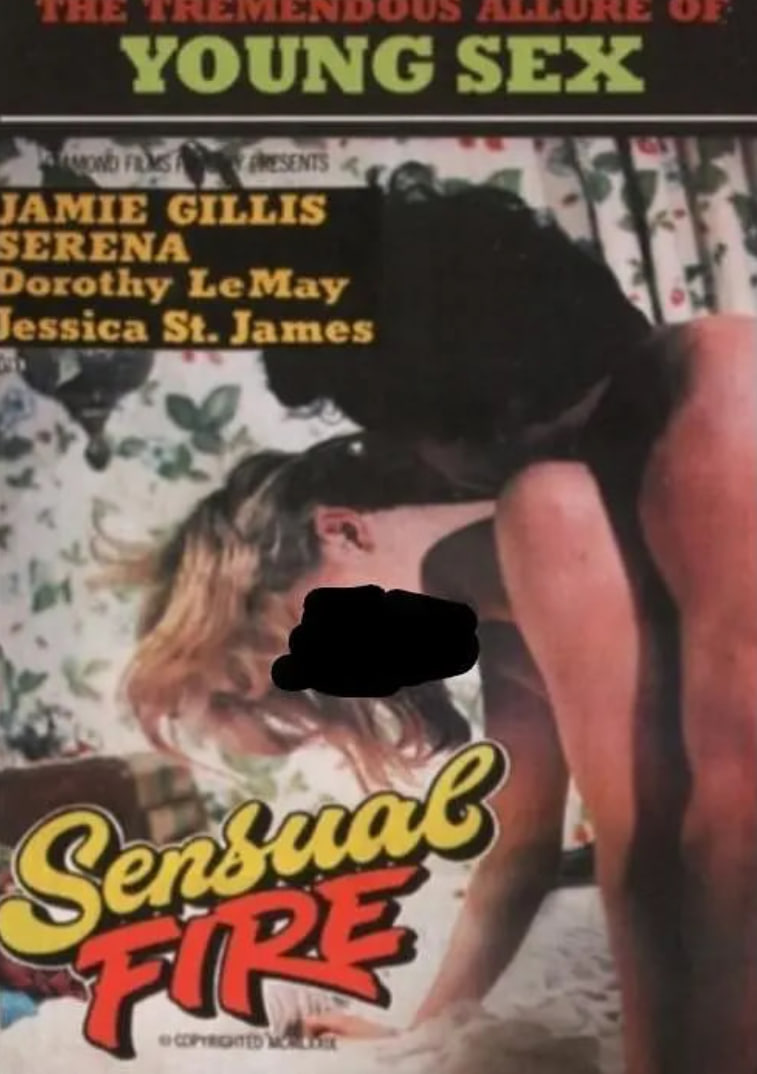 感官之火封面图