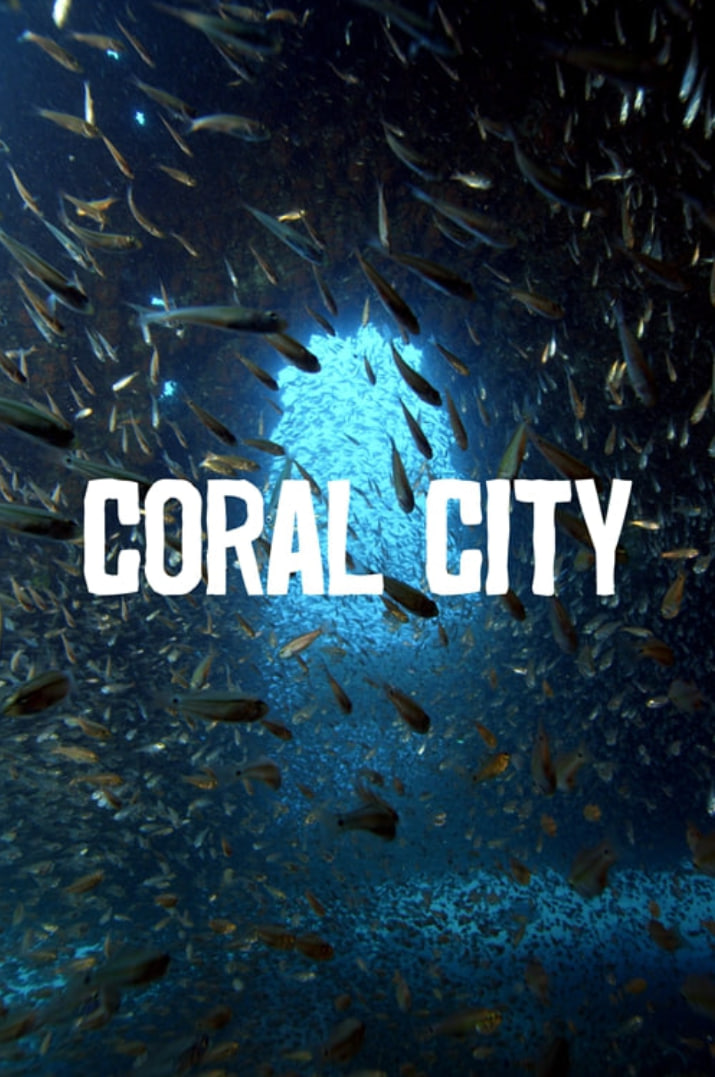 珊瑚城 第一季封面图