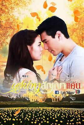 爱恨之约封面图