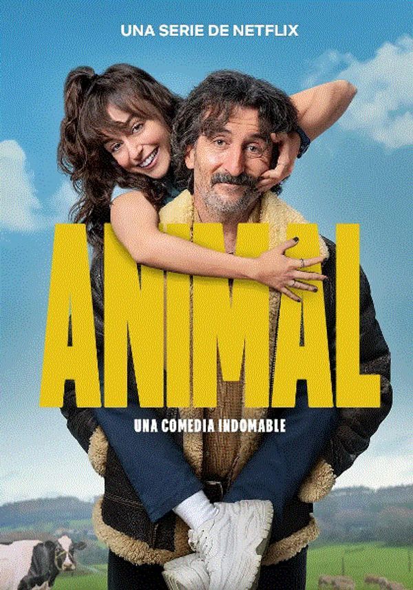 老派新兽医封面图