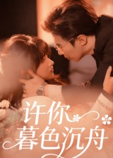 许你暮色沉舟封面图