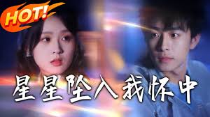 星星坠入我怀中封面图