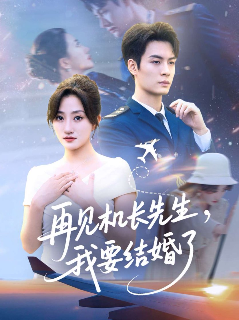 再见机长先生我要结婚了封面图