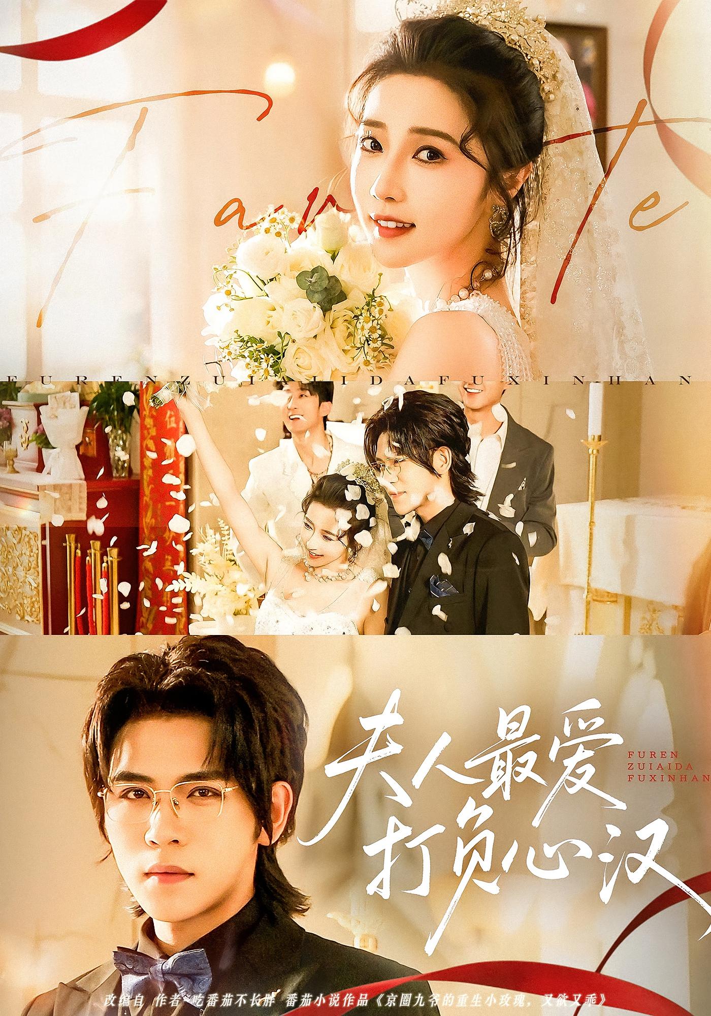 夫人最爱打负心汉封面图