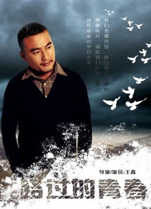 路过的青春封面图