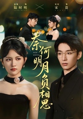 奈何明月负相思封面图