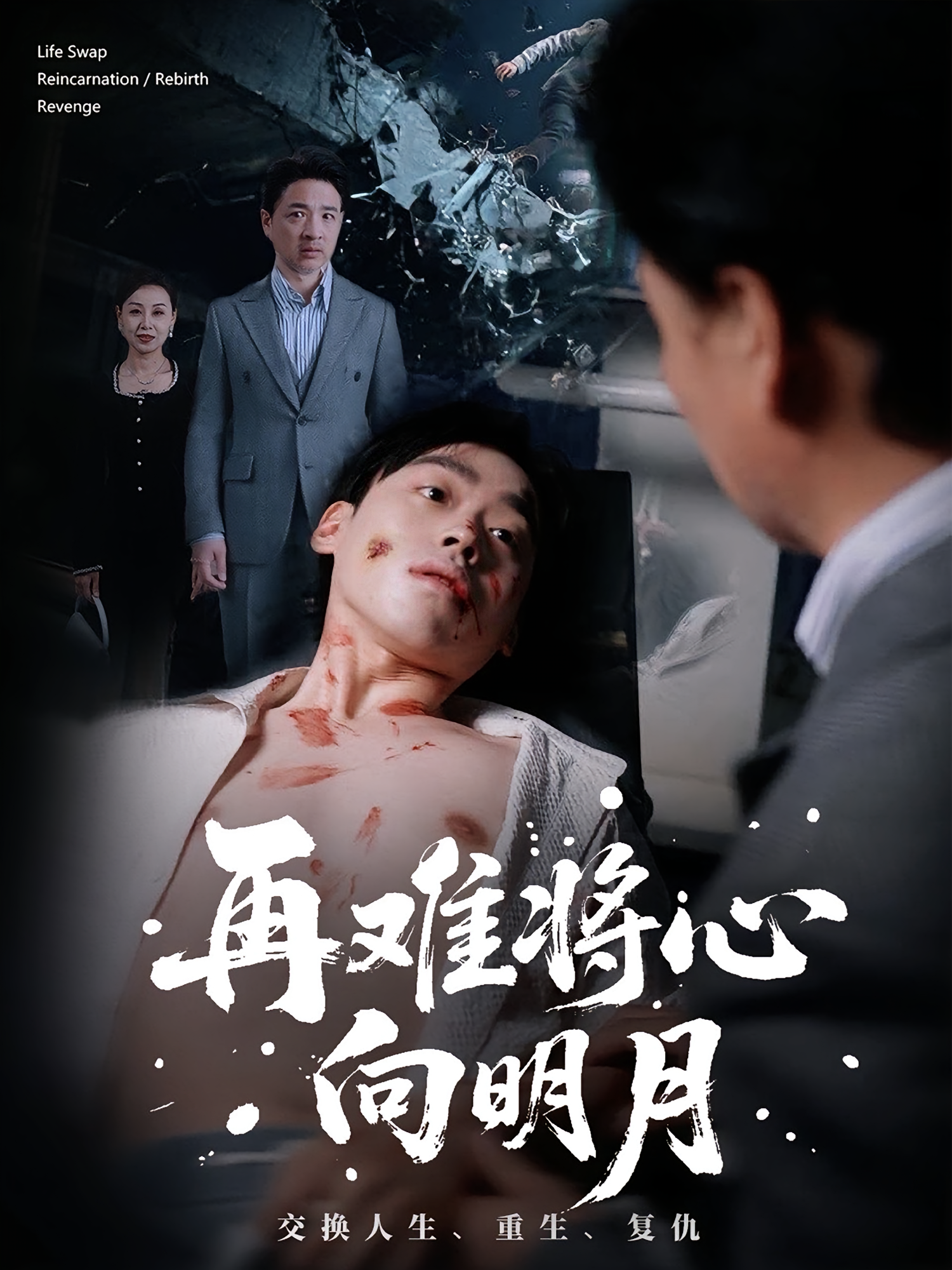 再难将心向明月封面图