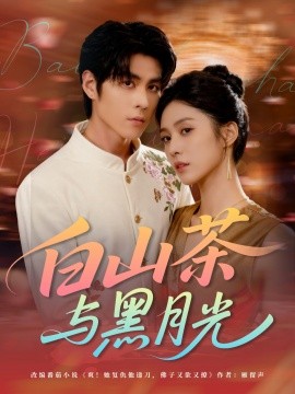 白山茶与黑月光封面图