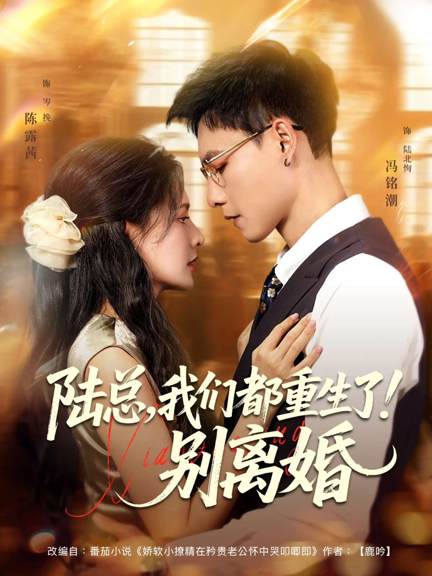 陆总我们都重生了！别离婚封面图