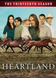 心灵之地第十三季封面图