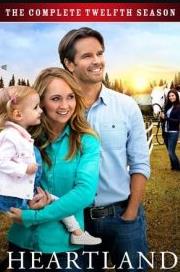 心灵之地第十二季封面图