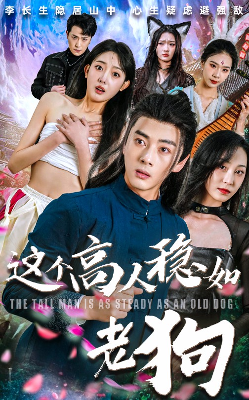 这个高人稳如老狗封面图