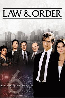 法律与秩序 第六季封面图