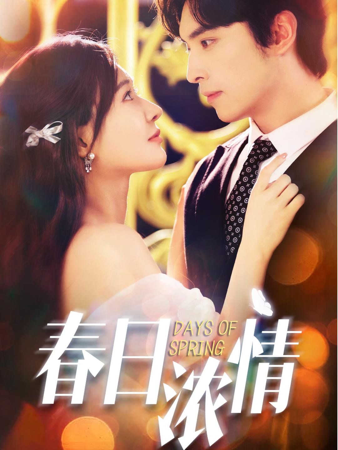 春日浓情封面图