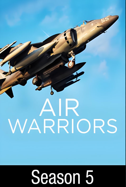 战机：空中勇士 第五季封面图